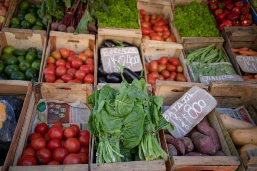 Llega el Mercado de Productores Familiares a Lanús Este