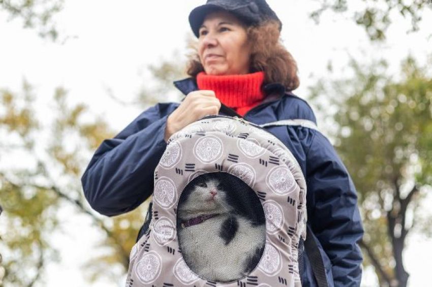 Nuevos turnos para el Punto de Castración Itinerante en Monte Chingolo